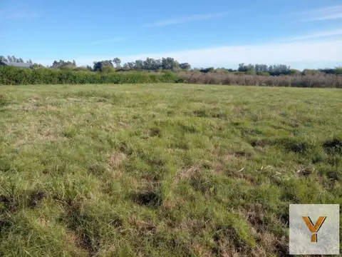 Terreno en Venta de 3310,0 m2