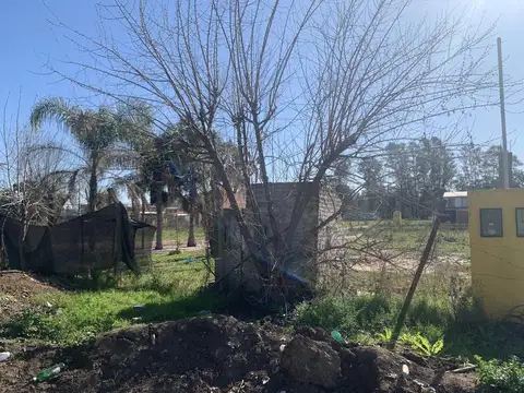 Cesar Diaz - Mzn 77B Lote 9 - Loteo San Felipe