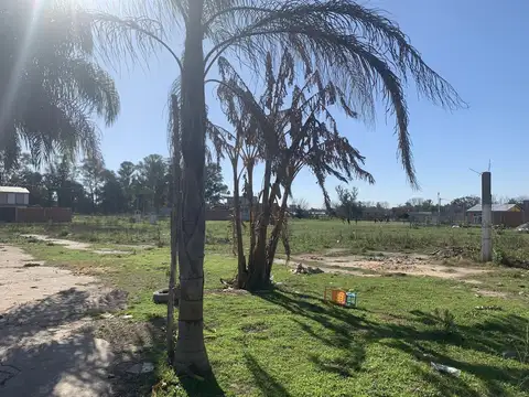 Terreno - Cesar Diaz - Mzn 77B Lote 9 - Loteo San Felipe