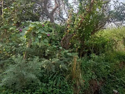 Cuesta De La Granadilla