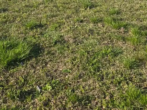 Terreno en Venta en Santa Ines, USD 28.000
