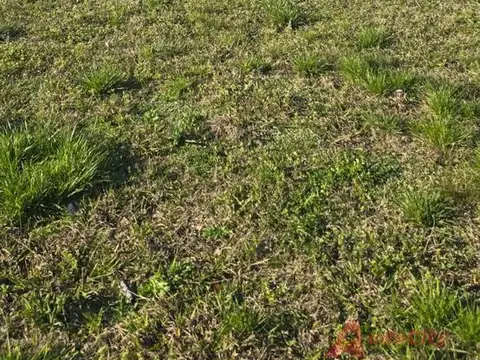 Terreno en Venta en Santa Inés, USD 20.000