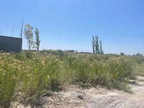 Terreno en Venta en Colonia Segovia, USD 74.000