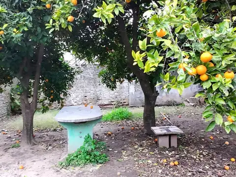 Fransisco Miranda al 4100