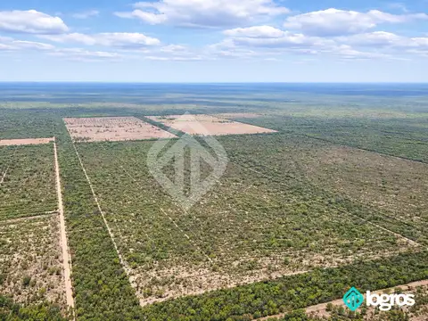 Campo Ganadero en venta de 2500 has ubicado en Taco Pozo, Chaco