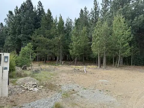 Terreno en Venta de 978,0 m2