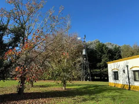 Casa en Venta de 5 dormitorios