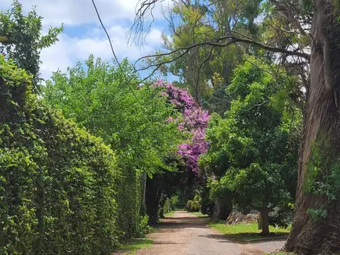 Terreno en Venta 41  mts Fondo