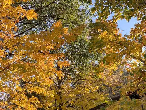 Venta  Casa Country Los Cardales 4 dorm Pileta