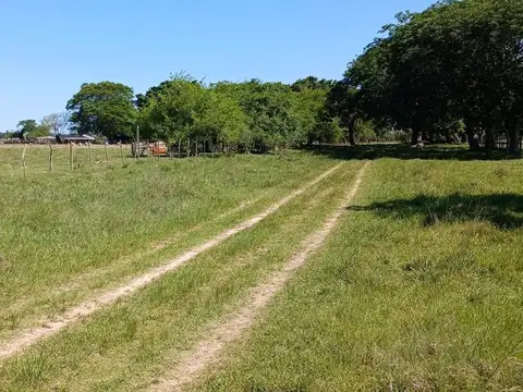 Terreno en Venta en Colonia Porvenir, USD 12.000