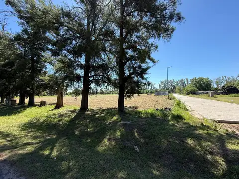 Terreno en Venta 20  mts Fondo
