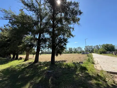 Terreno en Venta en Cortines, USD 55.000