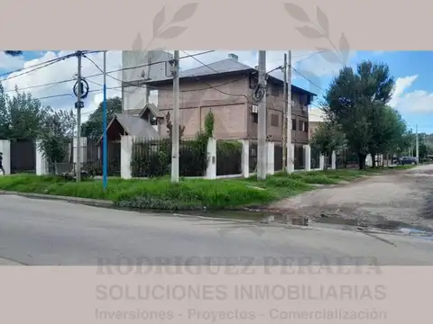 Los Tulipanes 200