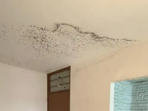 Arístides 3488 , Piso 1