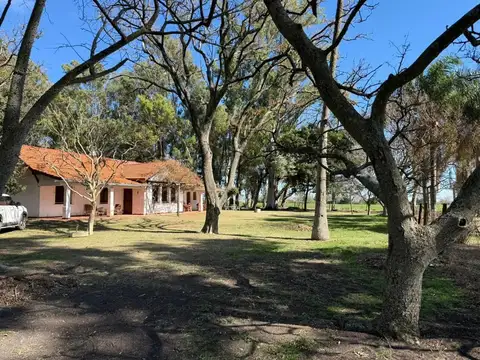 350 hectáreas agrícolas espinillo norte
