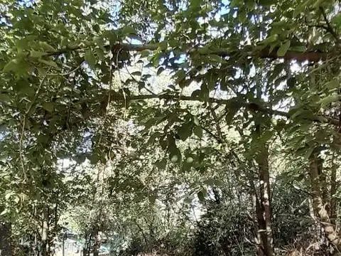 Terreno en Venta de 480,0 m2