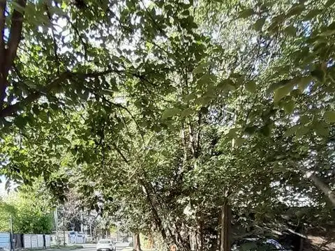 LOTE SOBRE ASFALTO