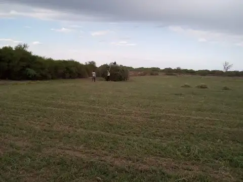 VTA 50 HA CAMPO COLONIA DORA