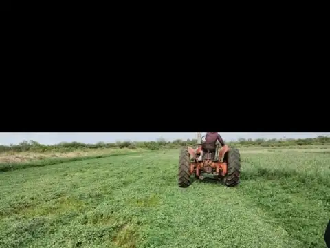 VENDO CAMPO MIXTO LIBRE DE MONTE APTO PARA SIEMBRA DE ALFALFA(COLONIA DORA ,SANTIAGO DEL ESTERO)