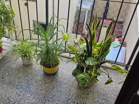 Departamento en Venta 50 años