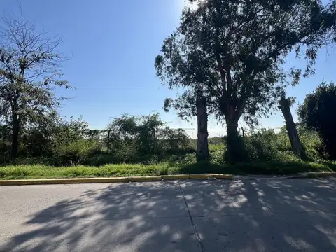 18 Has. en el casco urbano de Cañuelas a la venta