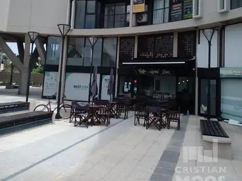 tapia de cruz al 1000