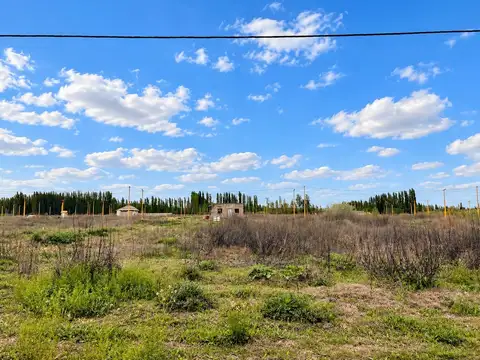 TERRENO EN VENTA EN LOTEO LA RUFINA I EN CERVANTES