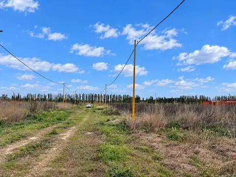 Terreno en Venta de 250,0 m2