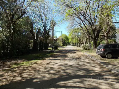 El bosquecillo