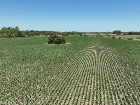 Campo en Venta de 44  ha