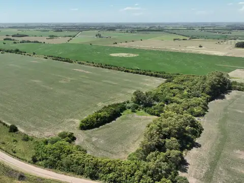 Campito en Capilla del Señor