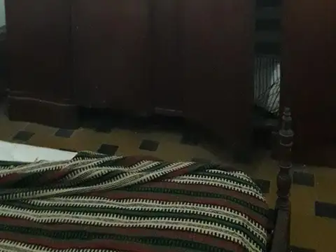 Pampa 300