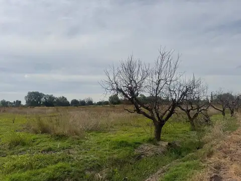 La Costa, y ruta 60  Maipú, Mendoza,