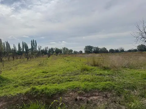 Terreno / Lote en venta de 82200m2 ubicado en Barrancas