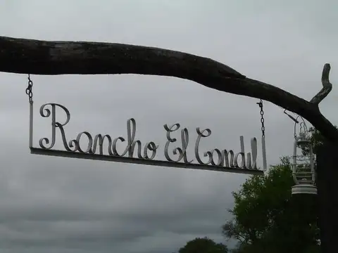 Campo en venta en Mojones Norte Villaguay 330 ha apto Agricultira/Ganaderia