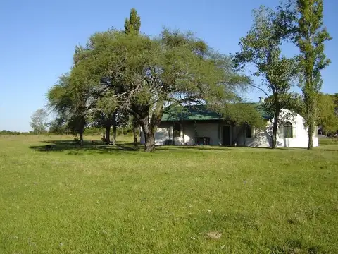 Campo en Venta de 336  ha