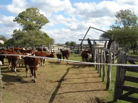 Campo en Venta Mixto