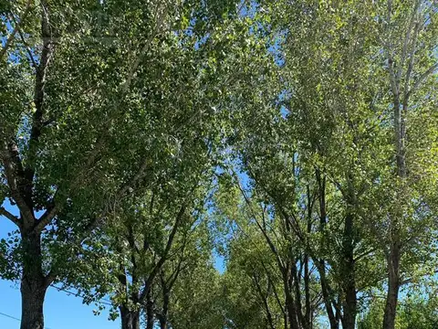 Terreno en Venta en La Alameda, USD 46.000