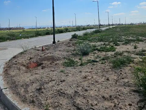 Terreno en Venta de 250,0 m2