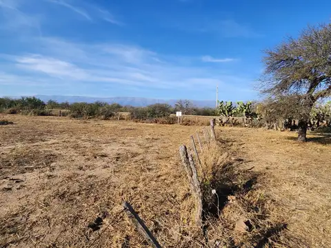 Campo en Venta Mixto