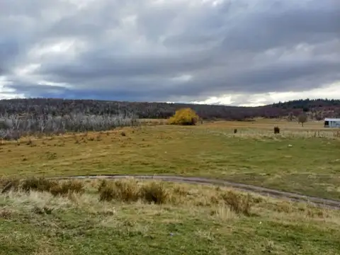 Campo en Venta de 1.230  ha