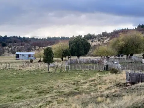 Campo de 1230 has en Valle Frio