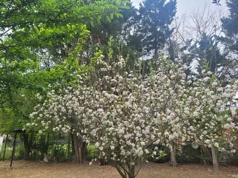 Terreno en Venta de 420,0 m2