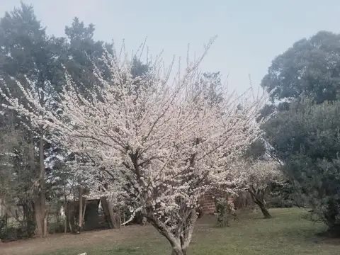 Terreno en Venta de 420,0 m2