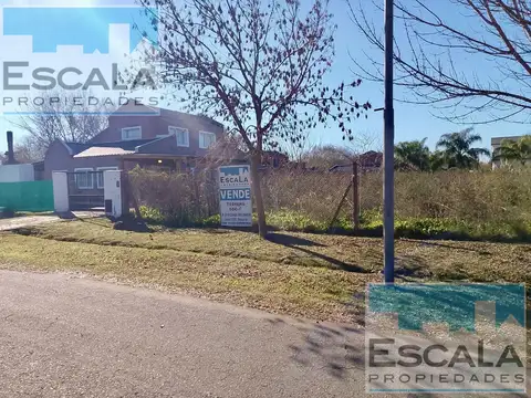 Terreno en Venta 40  mts Fondo