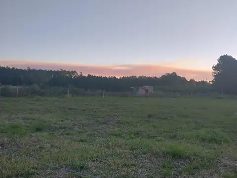 Amplio Terreno