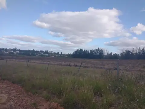 Amplio Terreno