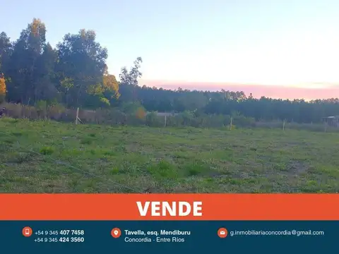 Amplio Terreno