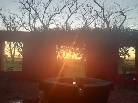 Camino Juan Manuel De Rosas