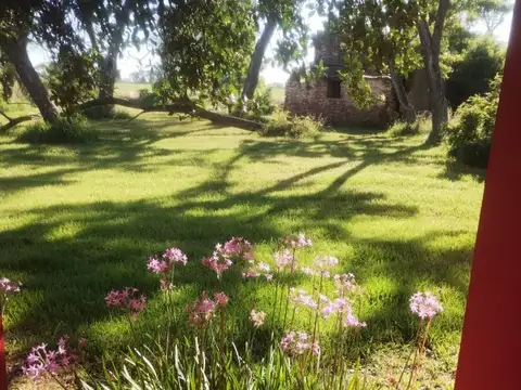 Alquile casa de campo La negrita